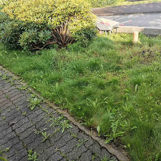 Ny hage etter kundens ønske / plan - Før bilde