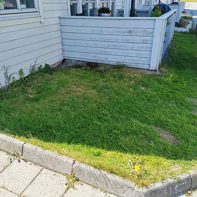 Vedlikeholds uteområde - Før bilde