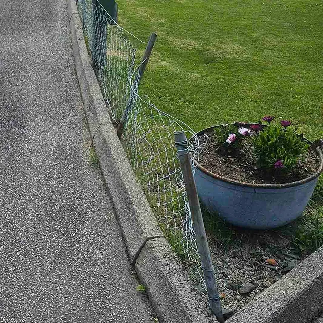 Del av gressplen